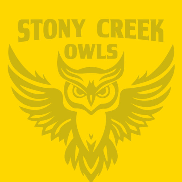 School Owls 04 Thumbnail