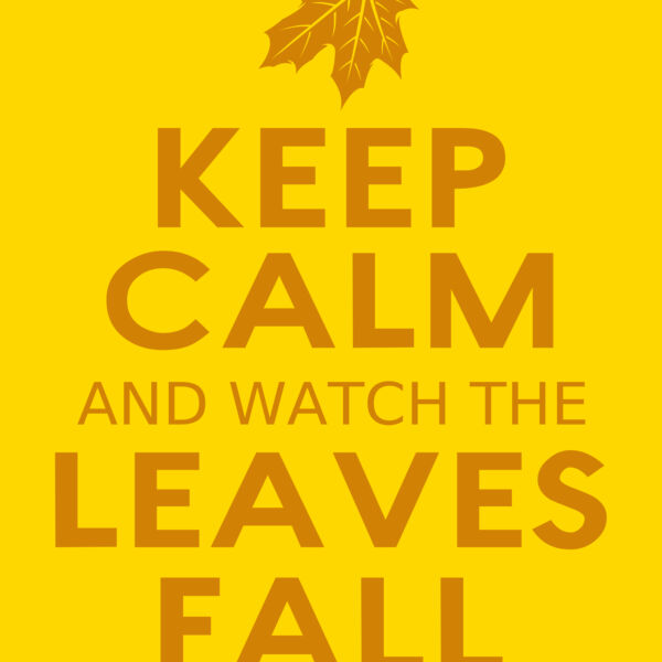 Fall Season 04 Thumbnail
