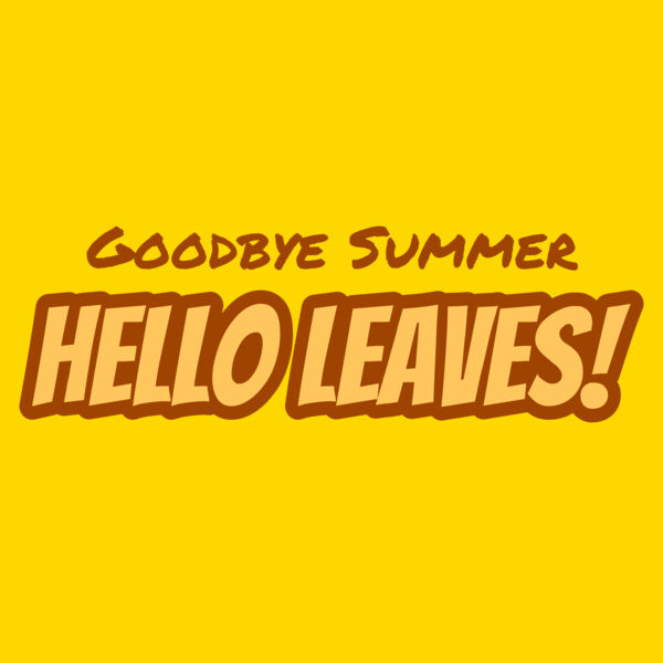 Fall Season 22 Thumbnail
