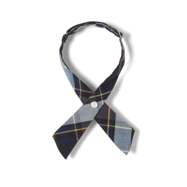 Girls Plaid Cross Tie-Blue/Gold Thumbnail